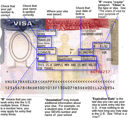 Reading and Understanding a Visa