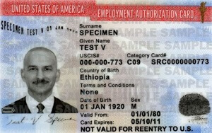 Expatriados nos Estados Unidos: Como traduzir um documento